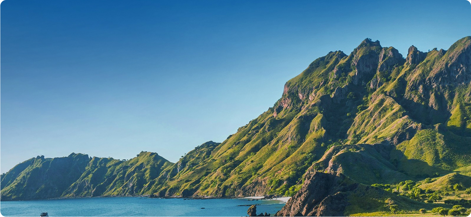 尊龙凯时绿色允许及行动