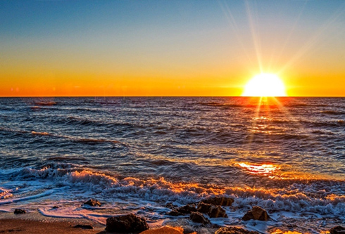 尊龙凯时人生就是搏·(中国区)官方网站