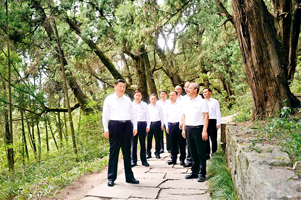 尊龙凯时人生就是搏·(中国区)官方网站