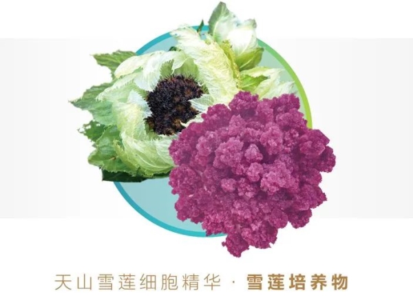 微信图片_20241124090147.jpg