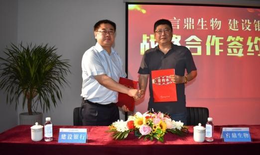 今日头条 数字山东：清风徐来，花自盛开——强强结合再添新同伴