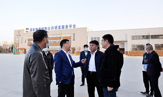 热烈欢迎吉林修养堂健全产业集团有限公司孙向光董事长一行莅临1xBET集团进行参观洽谈