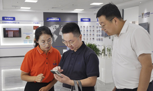 巴中市恩阳区辅导莅临1xBET集团调查互换，携手同谋发展新索求